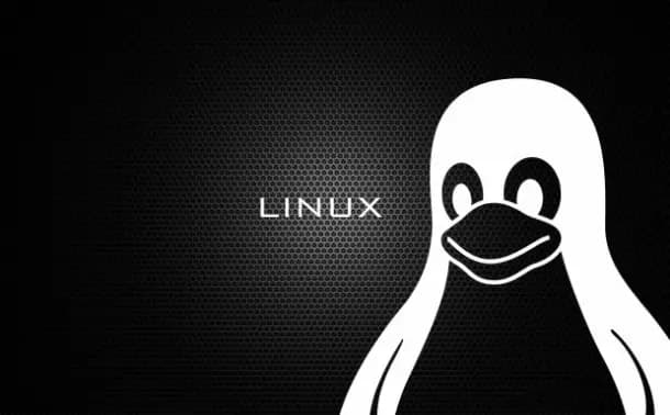 آموزش جامع استفاده از Wget برای دانلود فایل و کار با REST API در لینوکس